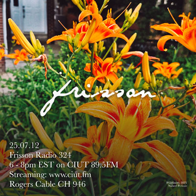 Frisson Radio 324 artwork